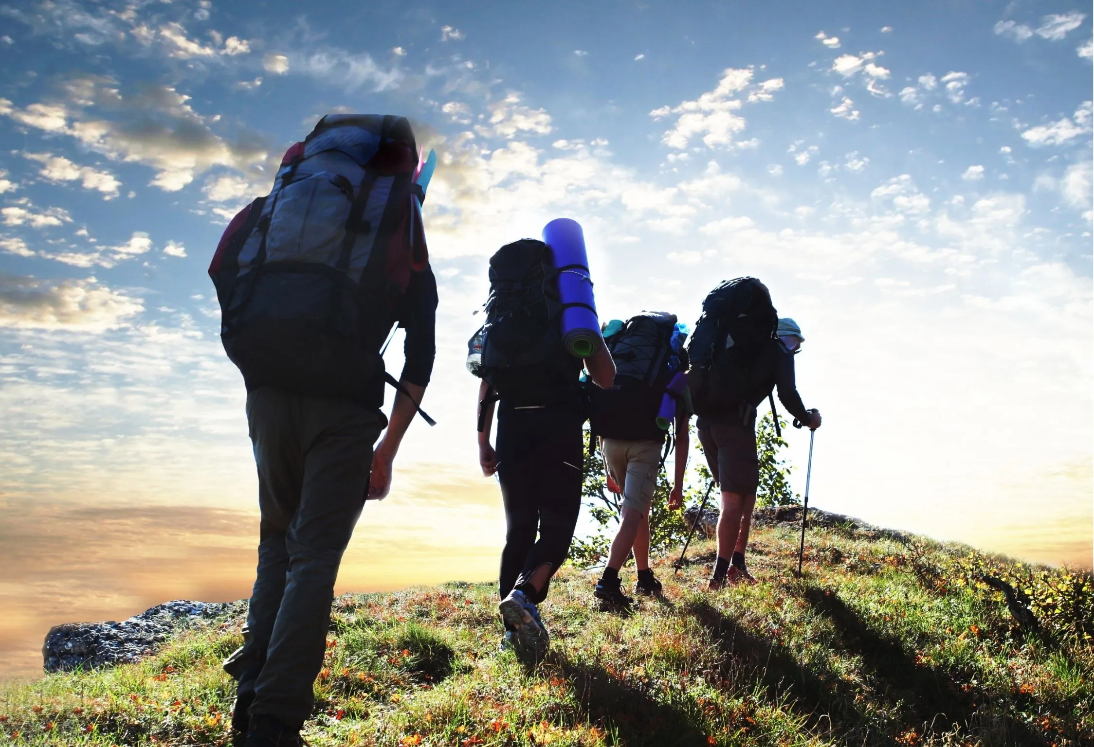 Hiking